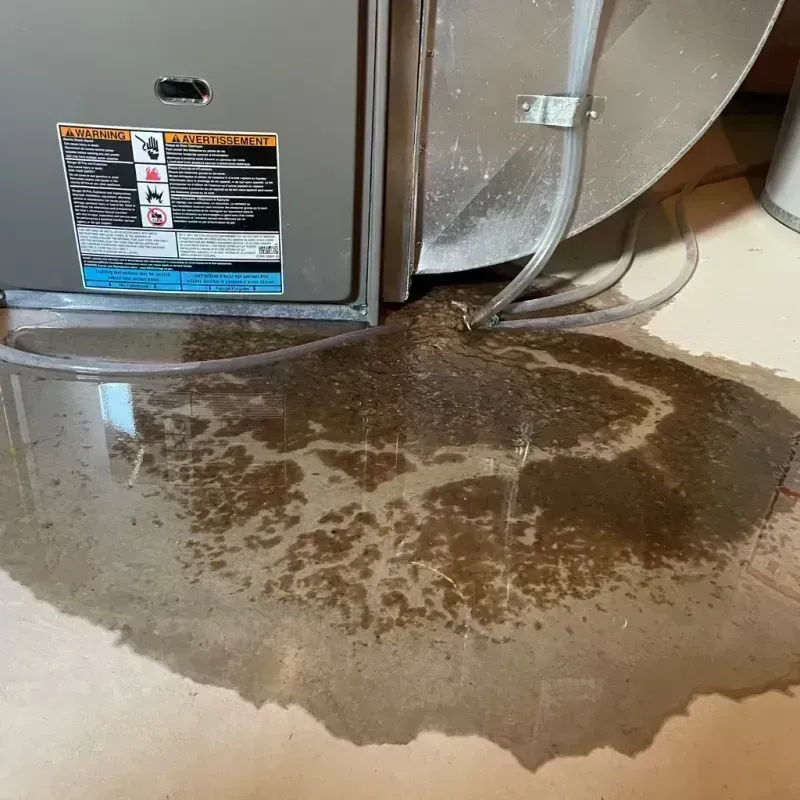 Appliance Leak Cleanup in Hinckley, IL